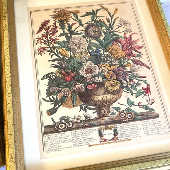 Elegant Gold Framed Botanical Art Print - Picture 3 of 10